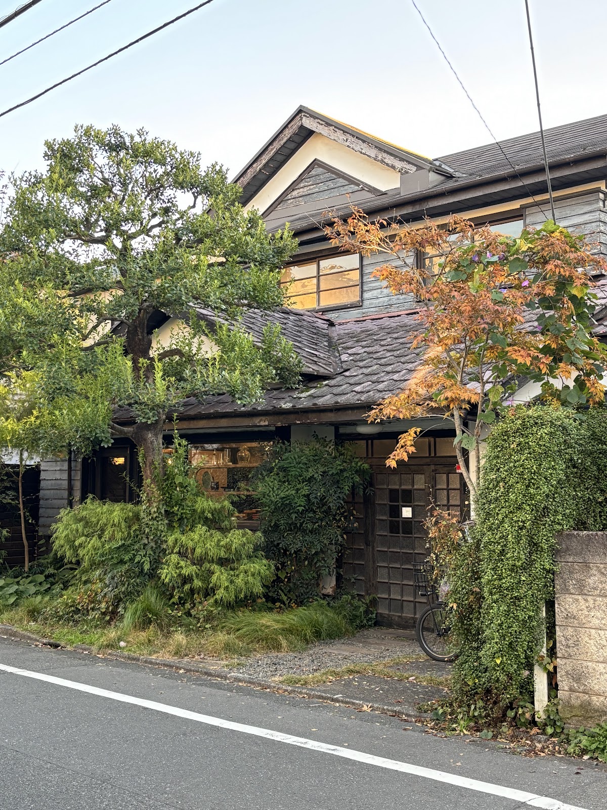 紅葉した楓が玄関にかかる秋の古民家。瓦屋根と黒い板壁、植え込みの緑が混ざり合う。